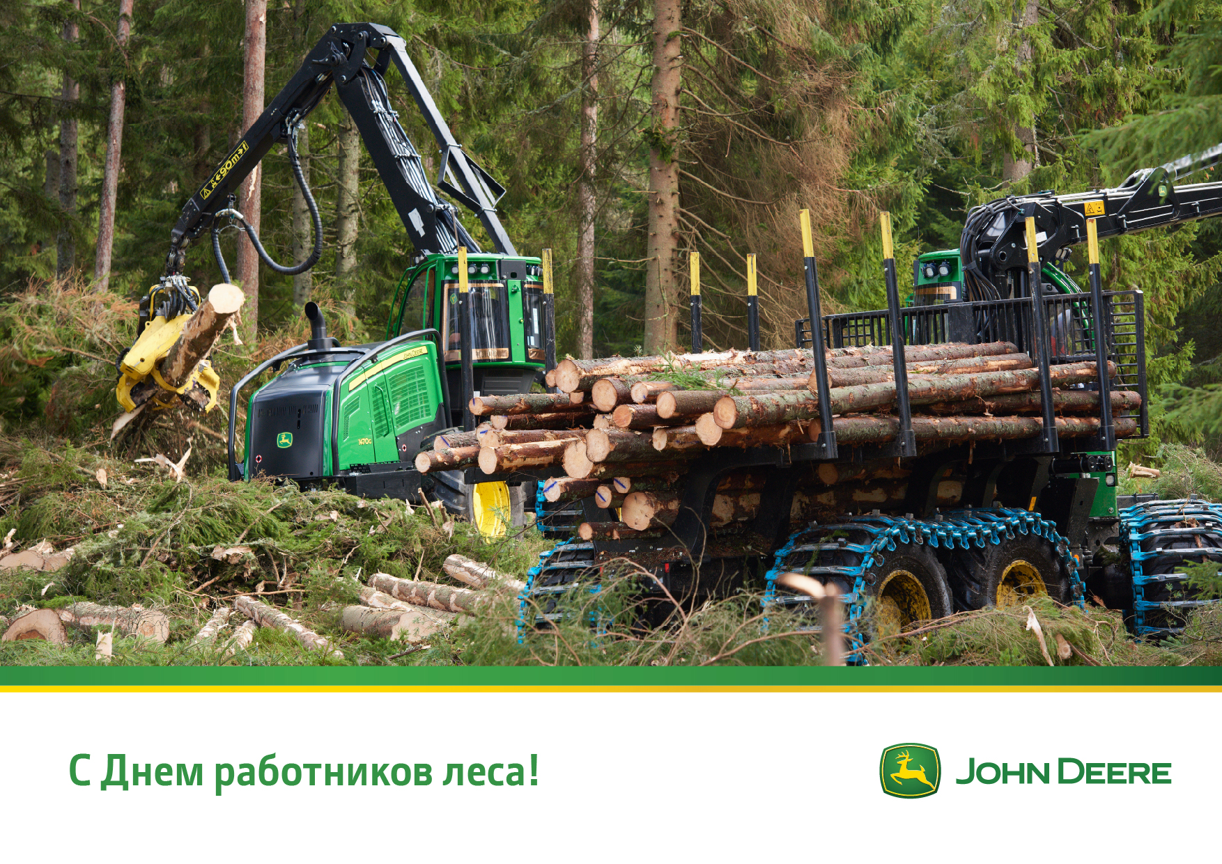 С Днем работника леса! в Казани