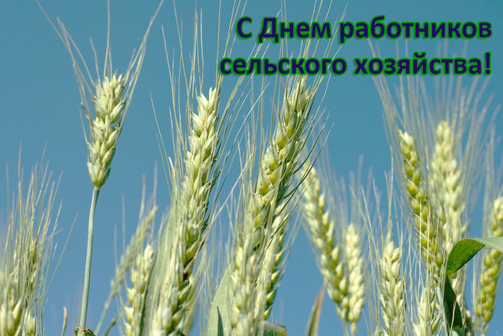 Специальные условия для сельхозпредприятий! в Казани