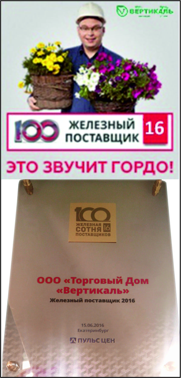 Торговый Дом «Вертикаль» вошел в сотню «железных» поставщиков России в Казани